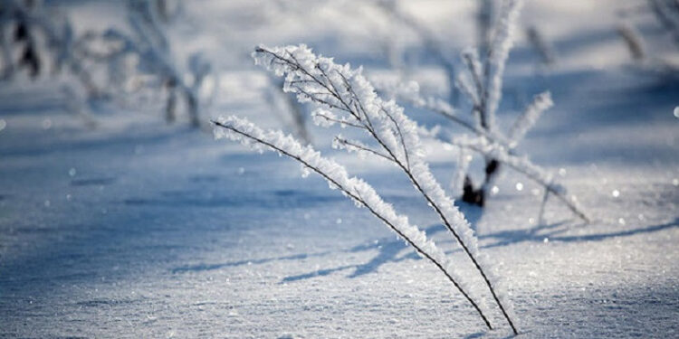 Սիսիանի և Գորիսի տարածաշրջաններում ձյուն է տեղում. տեսանյութ