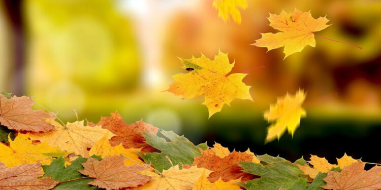 Առաջիկա օրերը՝ առանց տեղումների. ջերմաստիճանն աստիճանաբար կնվազի