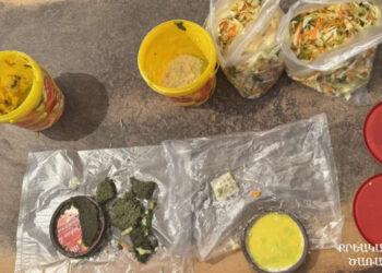 «Արմավիր» ՔԿՀ-ի դատապարտյալի համար բերված աղցաններում հայտնաբերվել են թմրամիջոցներ․ հանձնուք բերած կինը ձերբակալվել է