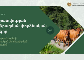 Պետությունը կաջակցի կովերի արհեստական սերմնավորմանը