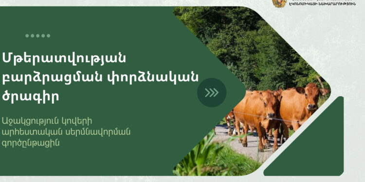 Պետությունը կաջակցի կովերի արհեստական սերմնավորմանը
