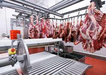 Սակագնային քվոտա կկիրառվի 2025 թ. ՀՀ ներմուծվող առանձին տեսակի գյուղատնտեսական ապրանքների նկատմամբ