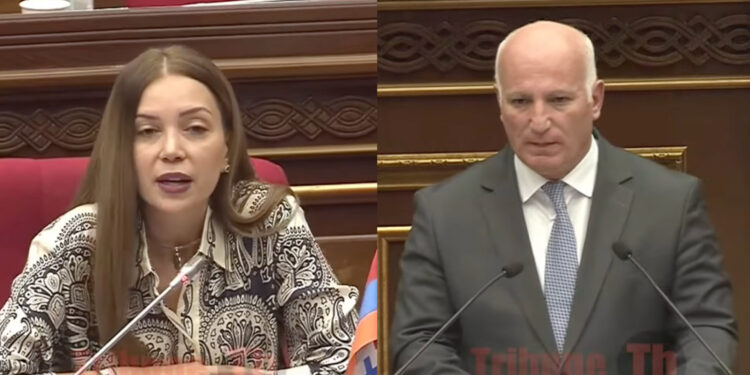 Ֆեյսբուքի գրառումս չեմ ջնջելու…հլը հարցրեք 004 շրջապերականն ի՞նչ ա. բանավեճ՝ Աժ-ում. տեսանյութ