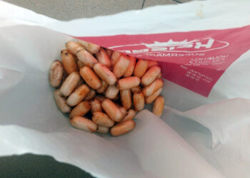 ՊԵԿ-ը կանխել է ավելի քան 550 հազար ԱՄՆ դոլար շուկայական արժեքով, առանձնապես խոշոր չափերի «կոկաին» տեսակի թմրամիջոցի ՀՀ ներմուծման փորձը