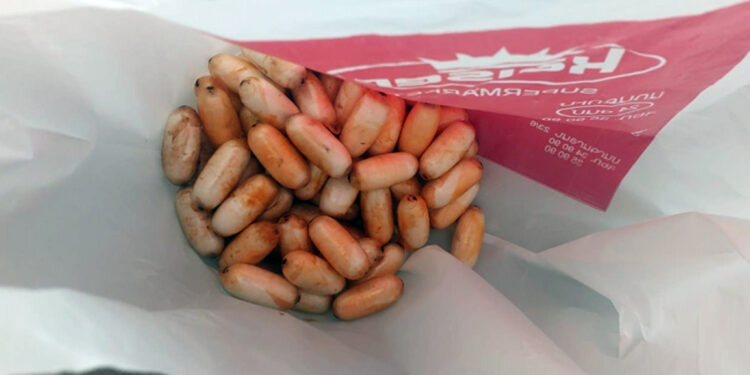 ՊԵԿ-ը կանխել է ավելի քան 550 հազար ԱՄՆ դոլար շուկայական արժեքով, առանձնապես խոշոր չափերի «կոկաին» տեսակի թմրամիջոցի ՀՀ ներմուծման փորձը