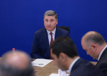 Գնել Սանոսյանը մարզպետների հետ քննարկել է թափառող շների խնդիրը