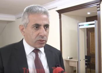 Պարզվում է` Վլադիմիրի Վարդանյանի մշակույթում քննադատական ցանկացած խոսք վիրավորանք է, տգիտություն. տեսանյութ