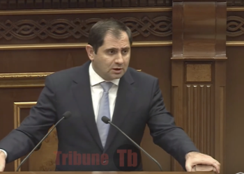 Լյուստրացիա պիտի անենք, պաշտոնյայի զավակին պիտի թույլ չտան քաղաքացիությունից հրաժարվել, որ չծառայի. տեսանյութ