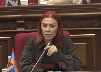 Սասուն Միքայելյանի ազգականն է, դրա՞ համար եք դարձնում հանձնաժողովի նախագահ. Խամոյան. տեսանյութ