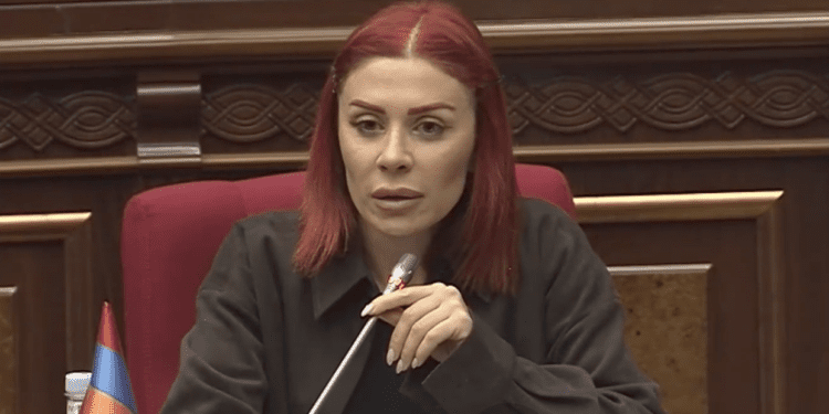 Սասուն Միքայելյանի ազգականն է, դրա՞ համար եք դարձնում հանձնաժողովի նախագահ. Խամոյան. տեսանյութ