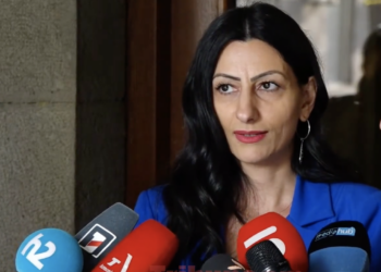 Տարբեր իրավասու մարմինների մոտ տեսնում եմ պրոֆեսիոնալիզմի, գիտելիքների պակաս. Մանասյան. տեսանյութ