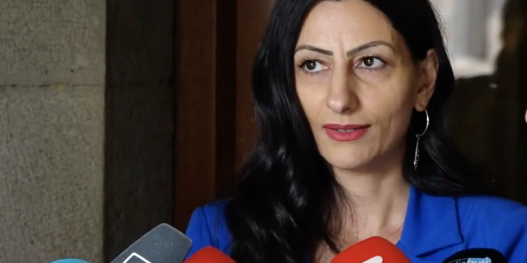 Տարբեր իրավասու մարմինների մոտ տեսնում եմ պրոֆեսիոնալիզմի, գիտելիքների պակաս. Մանասյան. տեսանյութ