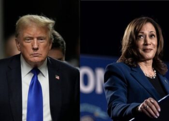 ԱՄՆ-ում նախագահական ընտրություններ են. Թրամփը ստանում է ընտրիչների 267 ձայն, Հարրիսը՝ 226