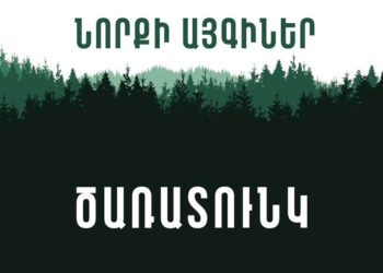 Նորքի այգիների վերականգնման նպատակով նոյեմբերի 16-ին ծառատունկ է կազմակերպվելու