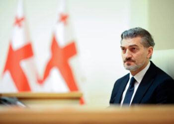 «Վրաստանը շահագրգռված է Հրվ. Կովկասում խաղաղության և կայունության ապահովմամբ, հետևաբար ամրապնդում է հարաբերությունները Հայաստանի, Ադրբեջանի և Թուրքիայի հետ». Կավելաշվիլի