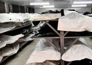 «44-օրյա պատերազմում զոհվածների մասունքներ կան, որոնք, վնասման աստիճանից ելնելով, ԴՆԹ փորձարկման ենթակա չեն». Ավանեսյան