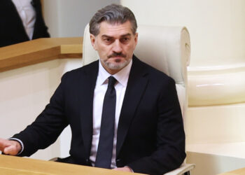 «Եթե Վրաստանը հրաժարվի իր արժեքներից ու ավանդույթներից, անիմաստ կլինի նրա անդամակցումը ԵՄ-ին». Վրաստանի նորընտիր նախագահ