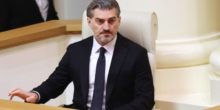 «Եթե Վրաստանը հրաժարվի իր արժեքներից ու ավանդույթներից, անիմաստ կլինի նրա անդամակցումը ԵՄ-ին». Վրաստանի նորընտիր նախագահ