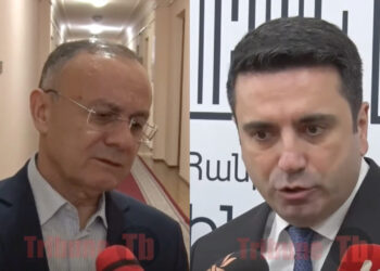 Ալեն Սիմոնյանը как минимум խեղաթյուրում է. Սեյրան Օհանյան. տեսանյութ