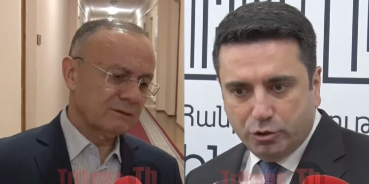 Ալեն Սիմոնյանը как минимум խեղաթյուրում է. Սեյրան Օհանյան. տեսանյութ