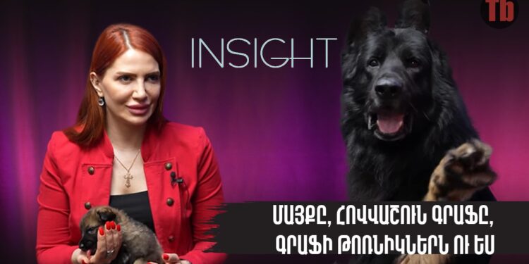 Ինսայթ 16. Մայք Իսրայելի. Պաշտպանական վարժեցում ստացած շները՝ յուրահատուկ զենք գողերի դեմ
