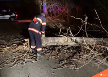 Քամուց՝ Լոռիում և Գեղարքունիքում վնասվել են մեքենաներ, գազատար խողովակներ, տապալվել ծառեր