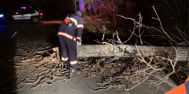 Քամուց՝ Լոռիում և Գեղարքունիքում վնասվել են մեքենաներ, գազատար խողովակներ, տապալվել ծառեր