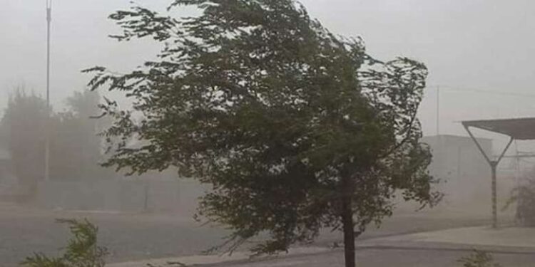 Դեկտեմբերի 18-ին մի շարք շրջաններում սպասվում է քամու ուժգնացում