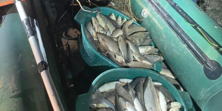 Մինչև հունվարի 20-ը սիգի որսը արգելված է. ՆԳՆ ոստիկանություն