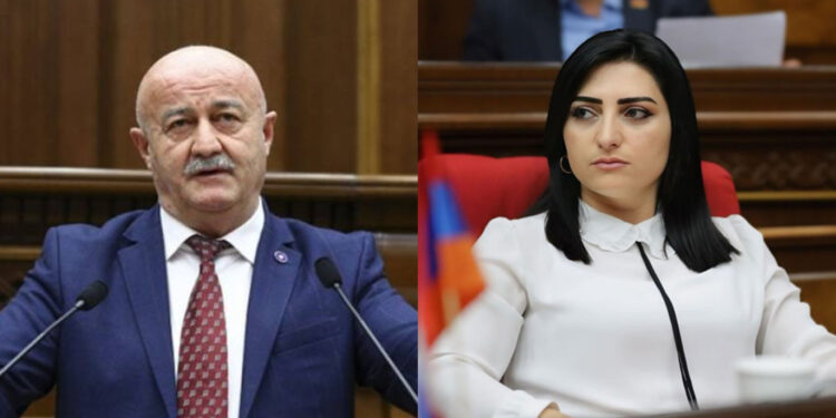 Թագուհի Թովմասյանը Հովիկ Աղազարյանի հարցով դիմել է միջազգային կառույցներին
