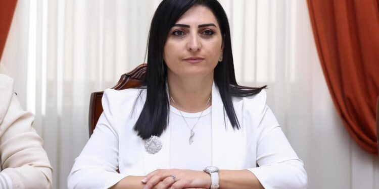 «Մարդու իրավունքների օրն ենք նշում մեր երկրում, ուր պատգամավորի անձնական գրագրությունն են հանրայնացնում»․ Թագուհի Թովմասյան