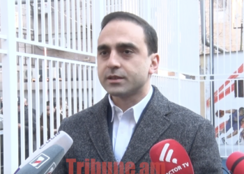 Ամենաշիշկեքի ավտոտնակները քանդել եմ…Ո՞ր շիշկի ավտոտնակն եք քանդել, պարոն Ավինյան. տեսանյութ