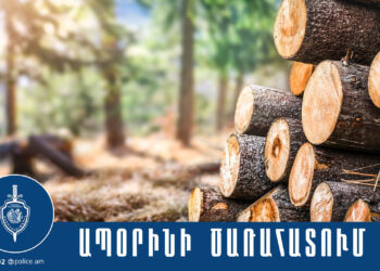 Ապօրինի հատել են 18 ծառ. նախաձեռնվել է քրեական վարույթ