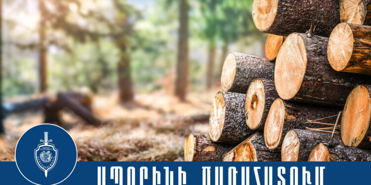 Ապօրինի հատել են 18 ծառ. նախաձեռնվել է քրեական վարույթ