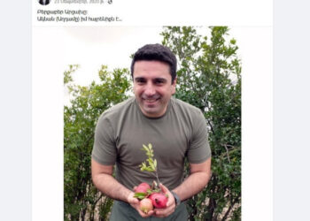 «Բոլորս էլ սխալվում ենք». Ալեն Սիմոնյանը՝ «Ակնան (Աղդամը) իմ հայրենիքն է» գրառման մասին