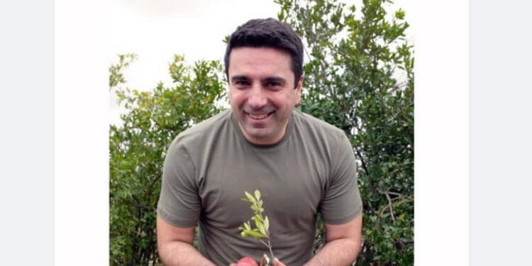 «Բոլորս էլ սխալվում ենք». Ալեն Սիմոնյանը՝ «Ակնան (Աղդամը) իմ հայրենիքն է» գրառման մասին