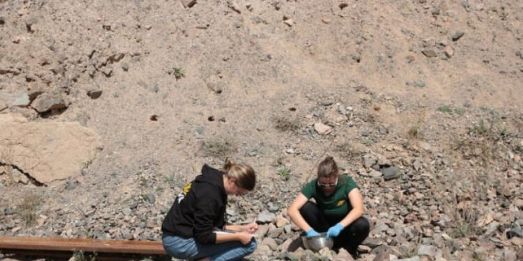 Չեխական կասկածելի մի կազմակերպություն շարունակում է Ադրբեջանին տրամադրել Հայաստանի հանքարդյունաբերության մասին տվյալներ. «Փաստ»