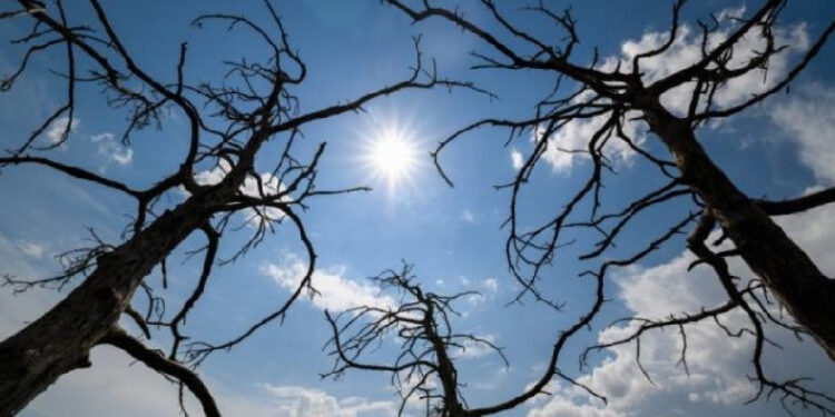 Հունվարի 23-ի ցերեկը, 24-28-ին սպասվում է առանց տեղումների եղանակ