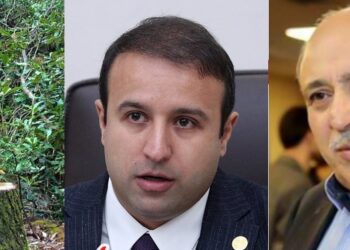 Մարզպետի հետ քաշքշուկից հետո ՔՊ-ում Հայկ Սարգսյանին «մեղադրում են» փայտանյութի բիզնեսի հետաքրքրության համար. «Ժողովուրդ»