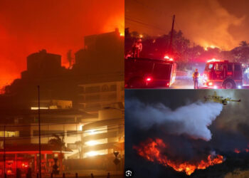 Կալիֆոռնիայում հրդեհների հետևանքով զոհվածների թվում ՀՀ քաղաքացիներ չկան. ԱԳՆ