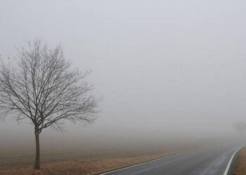 Վարդենյաց լեռնանցքում մառախուղ է