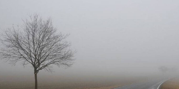 Արտաշատի և Արթիկի ճանապարհներին մառախուղ է