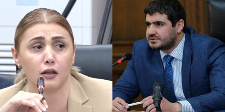 Հումորներ արեք, բայց ոչ հիմա. Եղոյանը՝ Էլինար Վարդանյանին. տեսանյութ