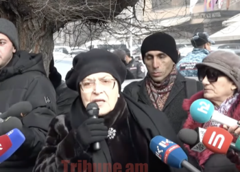 Ամո՛թ, ամո՛թ ՄԱԿ-ին, դադարեցրեք լկտի գործողությունները. Լարիսա Ալավերդյան. տեսանյութ