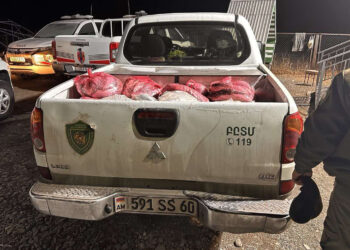 Սևանա լճից 470 կգ սիգի ձկնագողությունը կանխվել է. ԲԸՏՄ