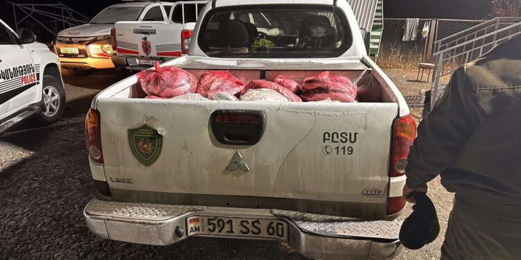 Սևանա լճից 470 կգ սիգի ձկնագողությունը կանխվել է. ԲԸՏՄ