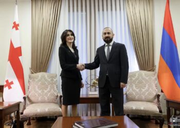 Արարատ Միրզոյանի և Վրաստանի ԱԳ նախարարի համատեղ ասուլիսը. ՈւՂԻՂ