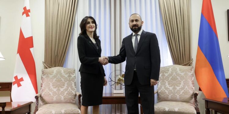 Արարատ Միրզոյանի և Վրաստանի ԱԳ նախարարի համատեղ ասուլիսը. ՈւՂԻՂ