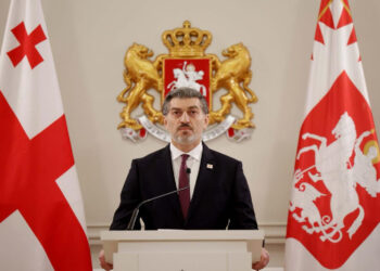 Վրաստանի նախագահի նստավայրի հանդիսությունների սրահից հեռացվել է ԵՄ դրոշը