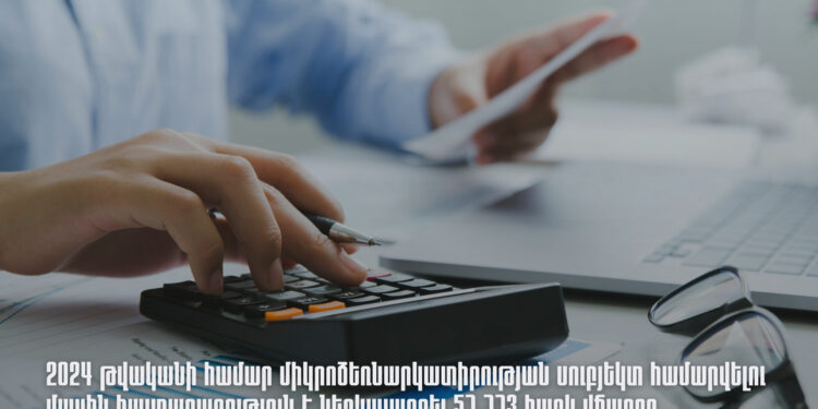 2024-ի համար միկրոձեռնարկատիրության սուբյեկտ համարվելու մասին հայտարարություն է ներկայացրել 57 773 հարկ վճարող